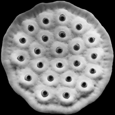 66c3364c3089e.jpg