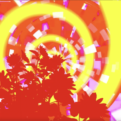 6366778e92a6b.png