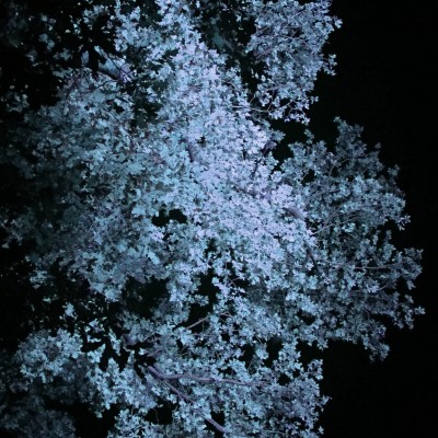 633c1f31eda41.jpg