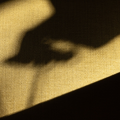 67f2b0f25d4d4.jpg