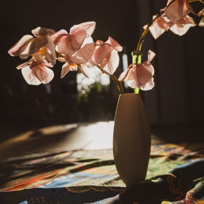 67f2b0f25d6b5.jpg