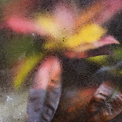 67f2b0f25dc45.jpg