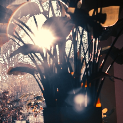 67f2b0f25df56.jpg