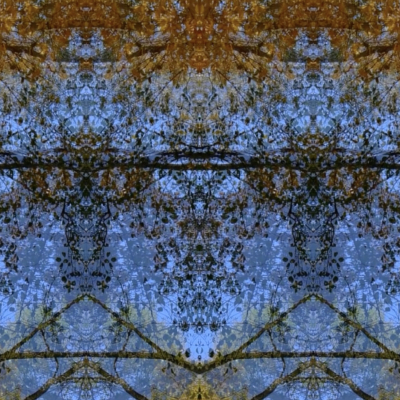 6ac7ca276f242.jpg