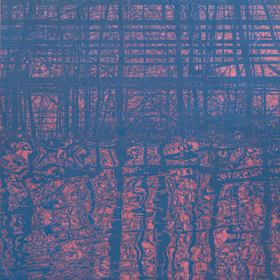Eric de Vries