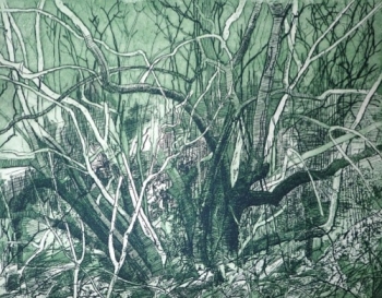 Vlieren, groen
