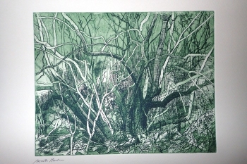 Vlieren, groen