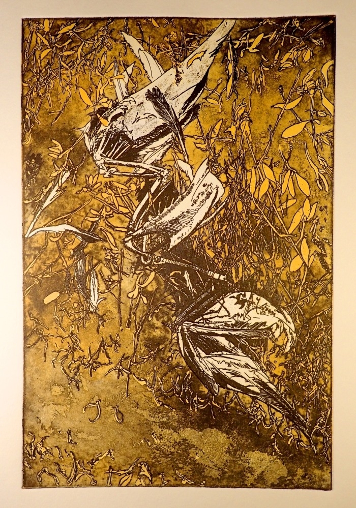 Dode meeuw | Marten Hazelaar | Pulchri Studio | Galerie Den Haag
