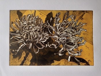 Chrysanten