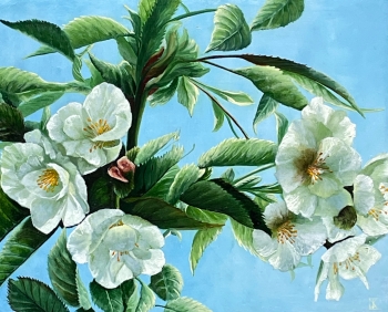 Witte Prunus