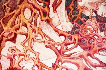 New Roots