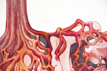 New Roots