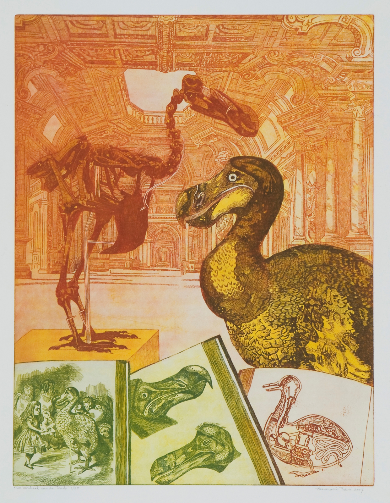 Het verhaal van de Dodo