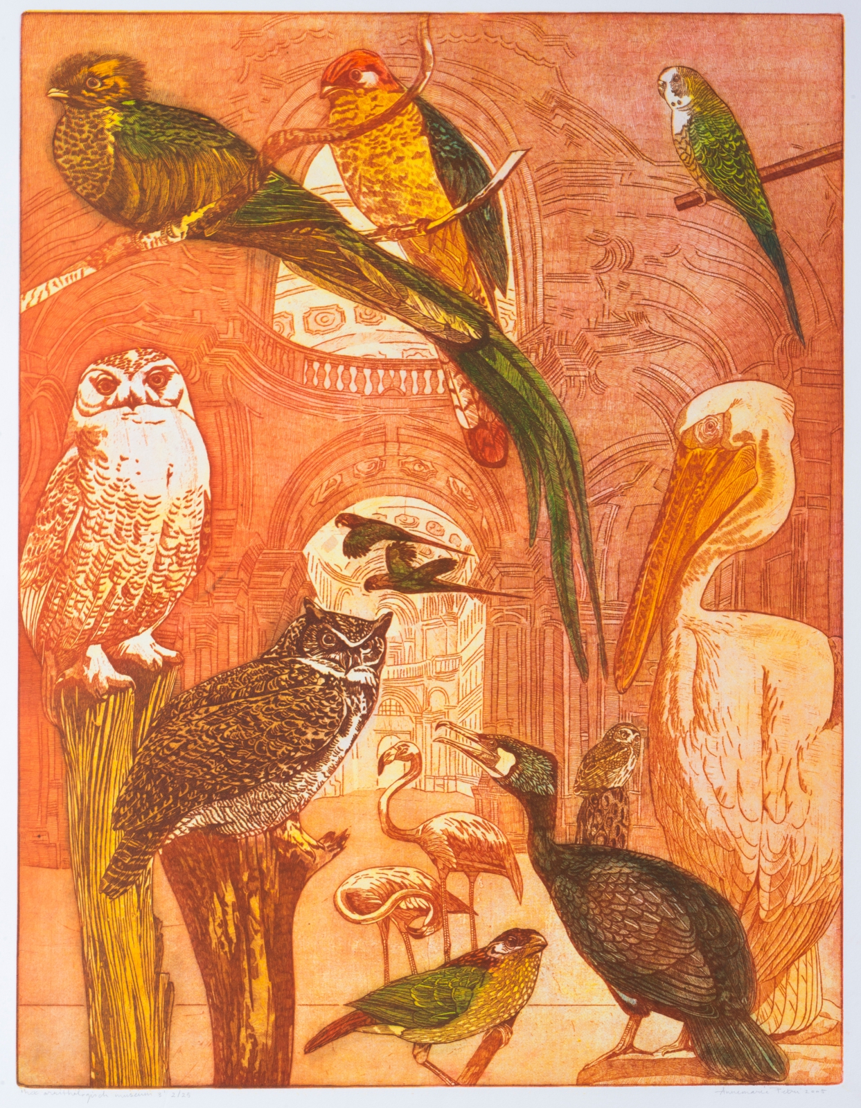 Het ornithologisch museum