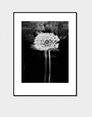 Joie de vivre - 2