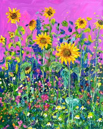 Tournesol sur magenta