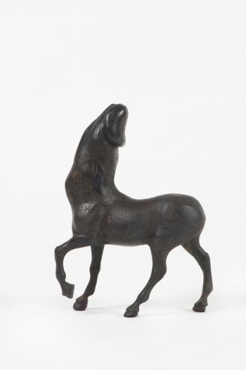 Hippofallus vulgairis