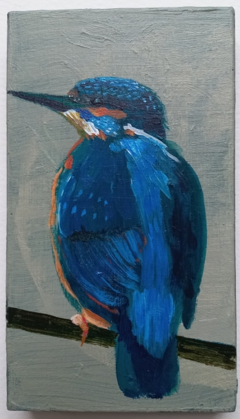 IJsvogel
