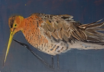 Grutto