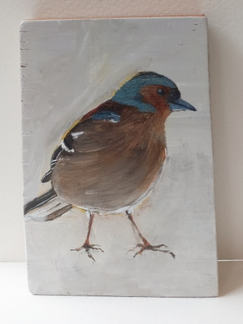 Vink