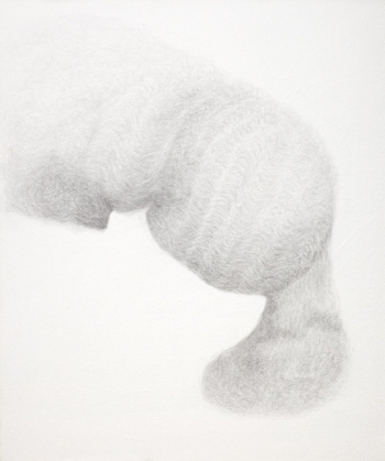 Hair Leaning on an Elbow