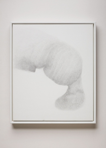 Hair Leaning on an Elbow