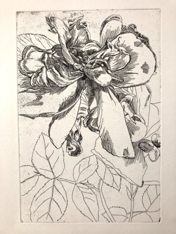 Change of perspective