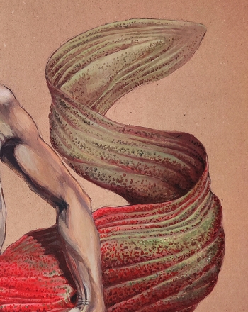 MORAY EEL