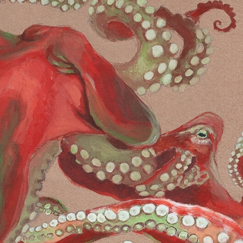 OCTOPUS