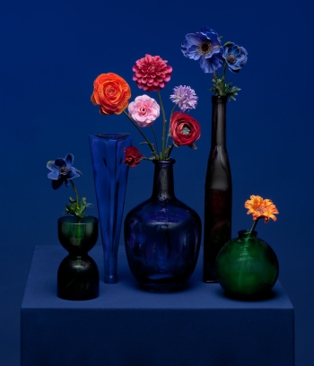 Blumen in Gläsern