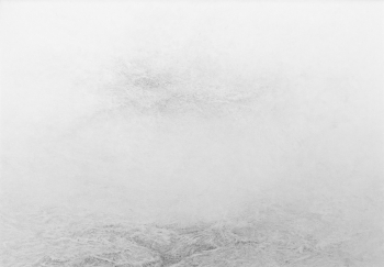 Fiber as in February and March 2019