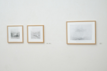 Fiber as in February and March 2019