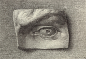 Het Oog van David van Michelangelo
