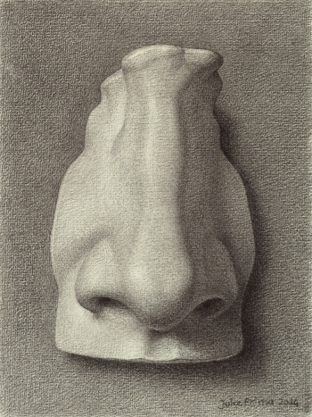 De Neus van David van Michelangelo