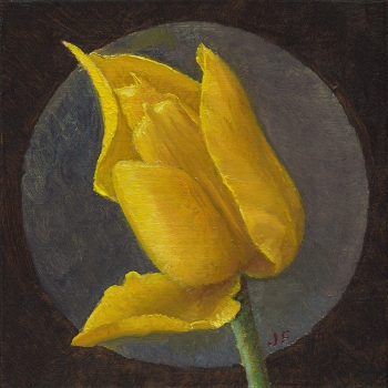 Gele spitse tulp 1