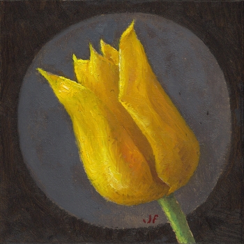 Spitse gele tulp 3