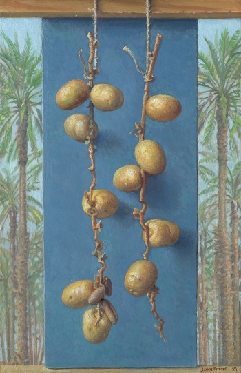 Dadel boomgaard