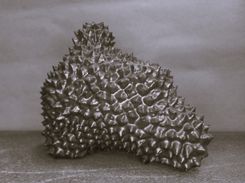 Mobility Kiwano