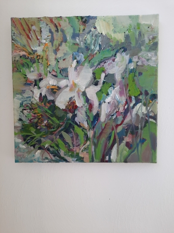 Iris