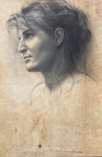 Disegno no. 221
