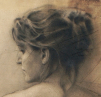 Disegno no. 219