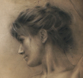 Disegno no. 217