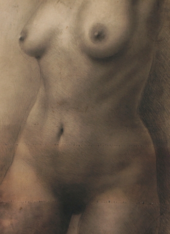 Disegno no. 217