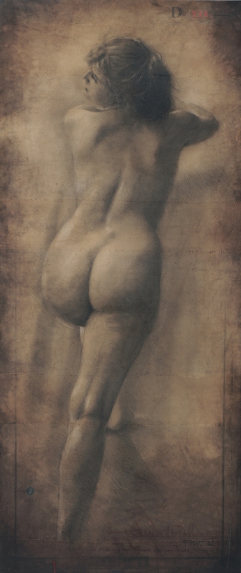 Disegno no. 216