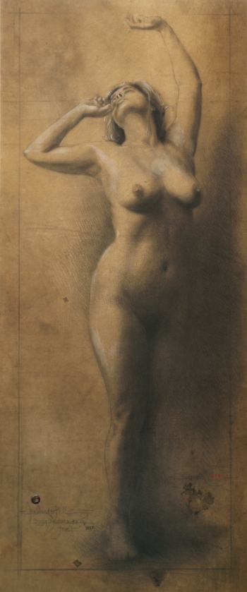 Disegno no. 214