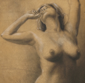 Disegno no. 214