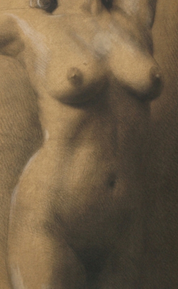 Disegno no. 214