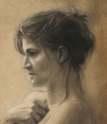 Disegno no. 213