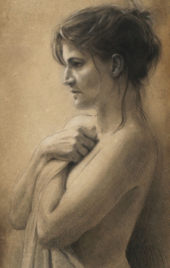Disegno no. 213