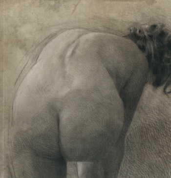 Disegno no. 212